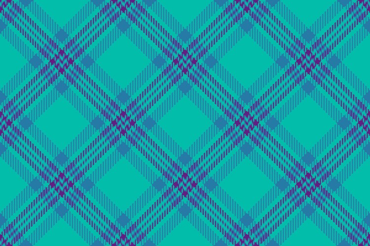 Drapery background plaid seamless tracery texture vector image