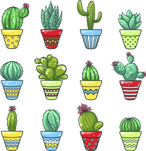 Home cactus set vector image