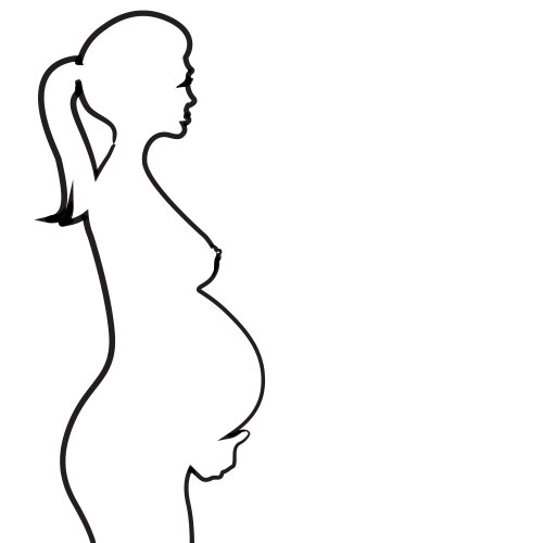 Pregnancy vector image