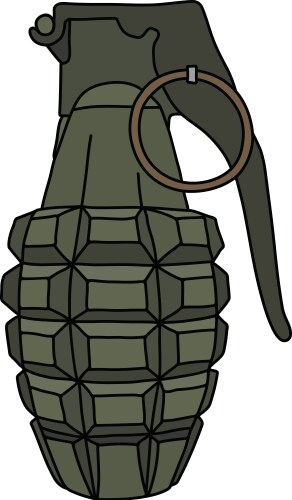 defense hand grenade vector image