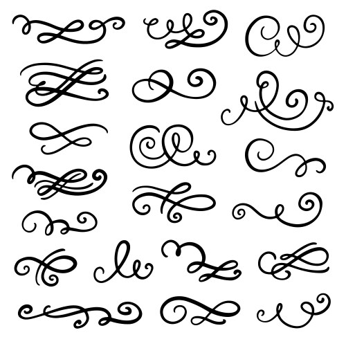 divider swirl and curl set vector image