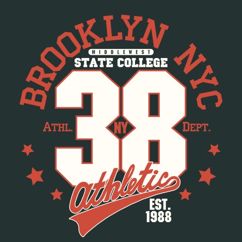 brooklyn t-shirt graphics vector image