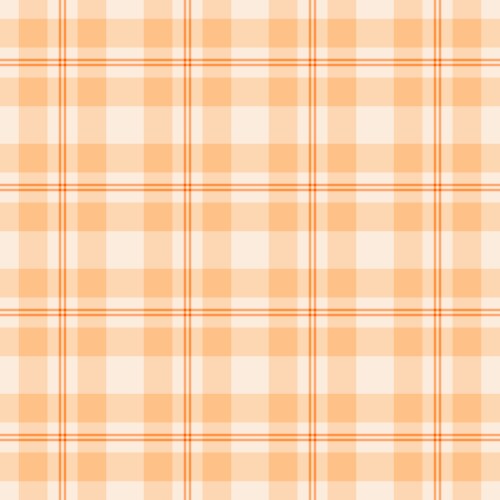 Fashion textile tartan check throw pattern vector image