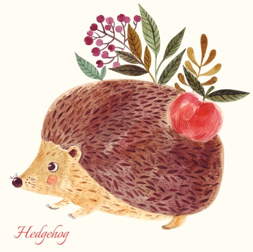 Hedgehog in watercolor technique vector image