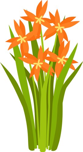 river lily plant composition vector image