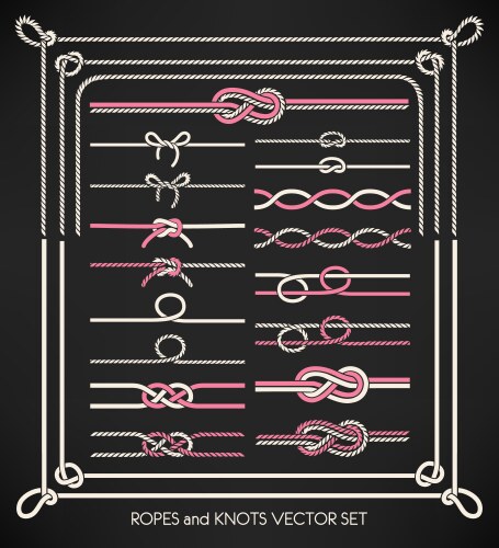 Ropes and knots set vector image