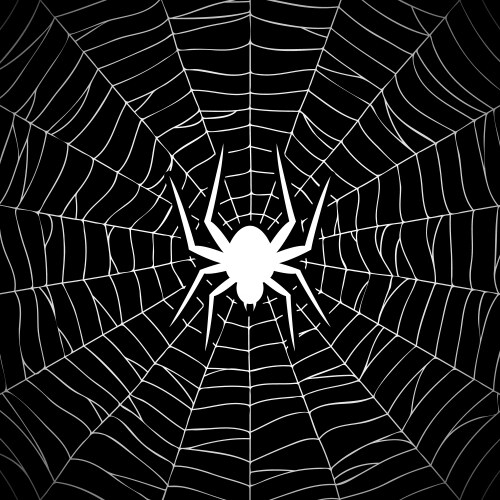 Spider on web vector image