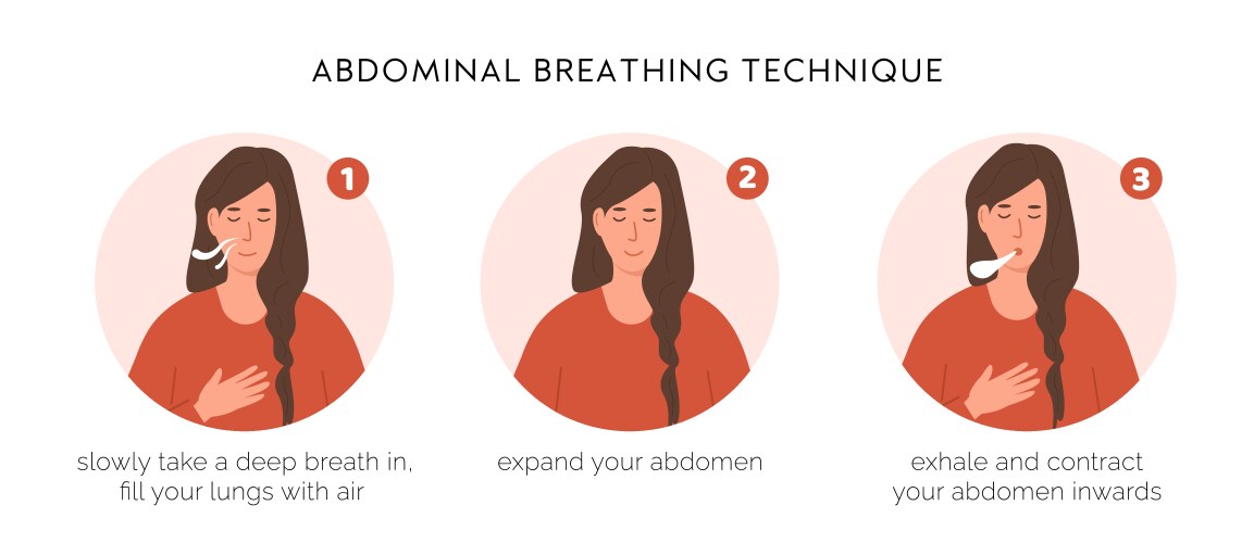 Abdominal breathing technique infographic vector image