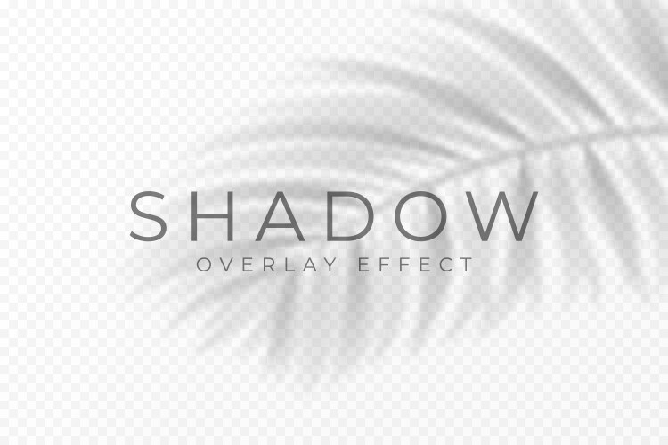 Shadow overlay effect transparent soft light vector image