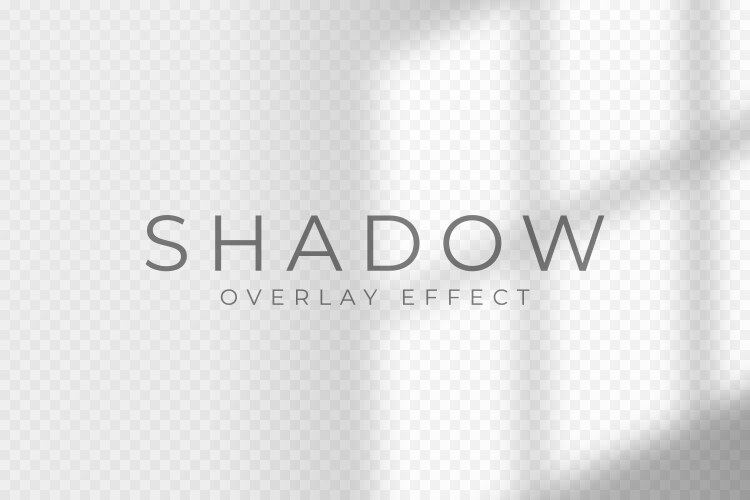 Shadow overlay effect transparent soft light vector image