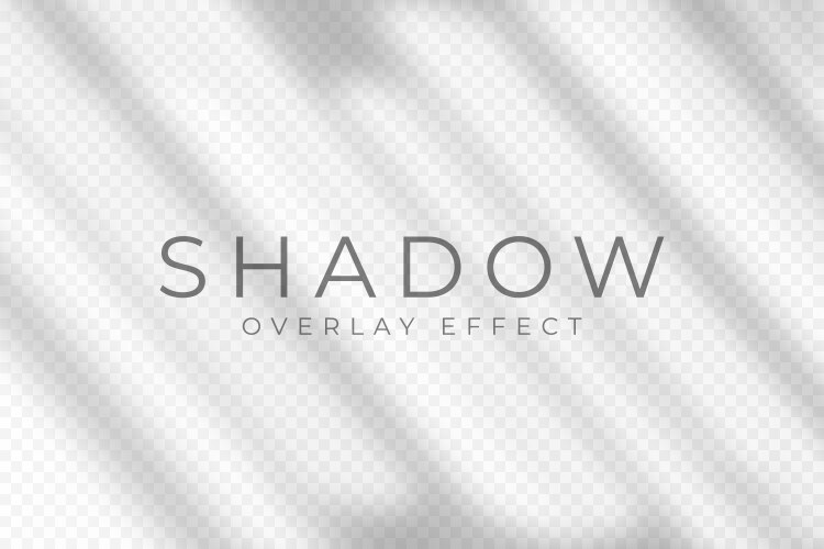 Shadow overlay effect transparent soft light vector image