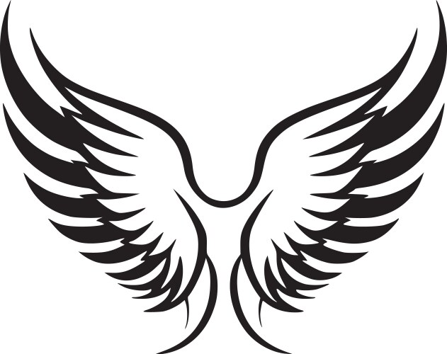 Angel wings - black and white vector image