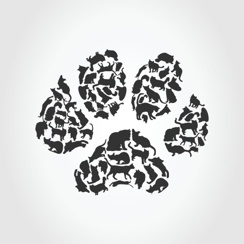 Cat paw print vector image