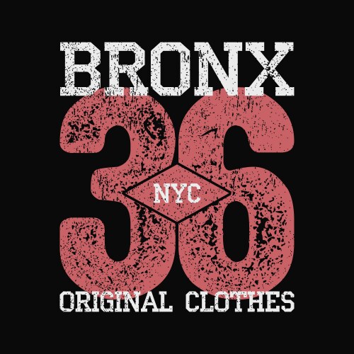 Bronx nyc vintage graphic for number t-shirt vector image