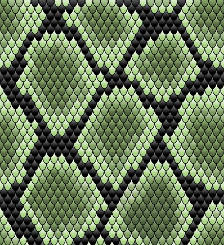 Green seamless snake skin pattern vector image