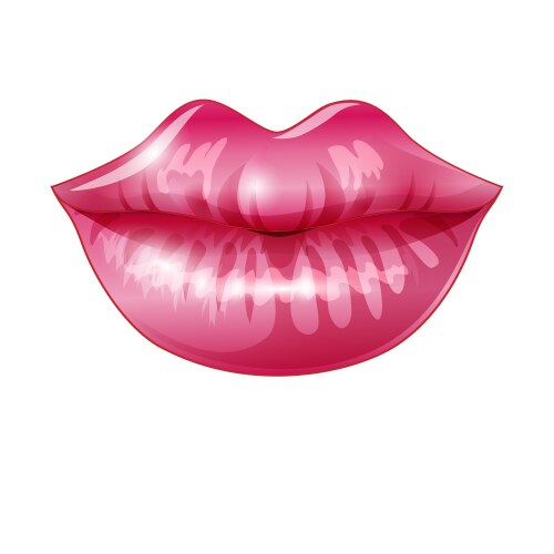 lip valentine vector image