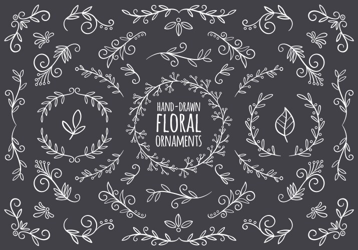 hand drawn floral ornaments on blackboard vector image