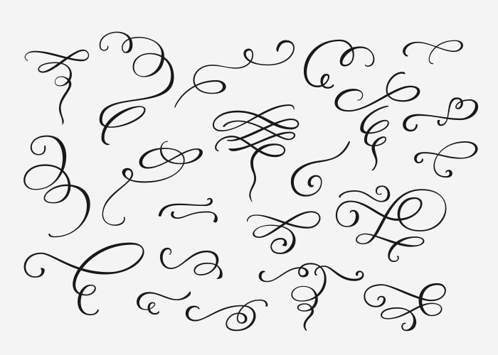 flourish swirl ornate decoration vector image