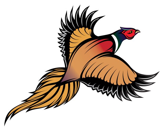 A stylish multi-colored flying pheasant vector image