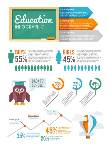 education infographic set vector image