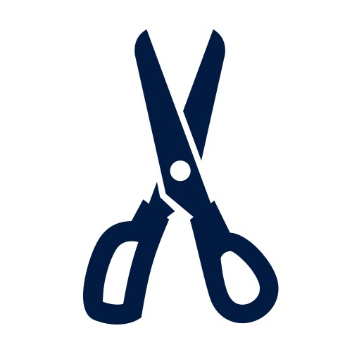 Scissors icon vector image