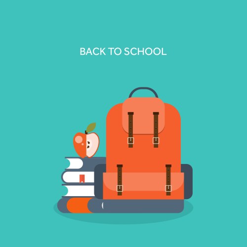 Flat school backpack study vector image