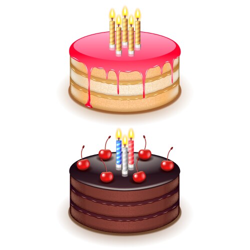 Birthday cake with candles isolated on white vector image