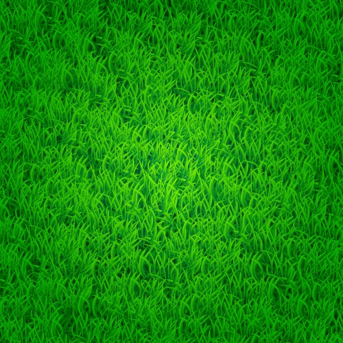 Green grass background vector image