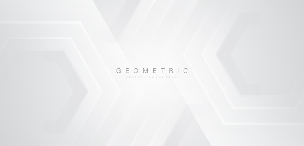 White and grey abstract background modern vector image