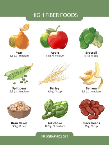 High fiber foods infographics vector image