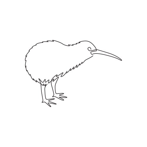 one continuous line drawing little kiwi bird vector image