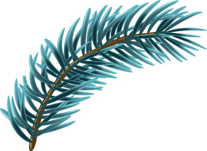 Blue christmas fir branch vector image