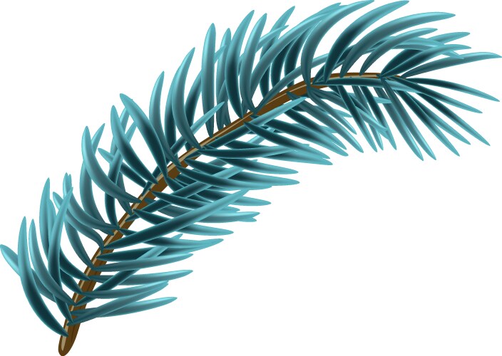 blue christmas fir branch vector image