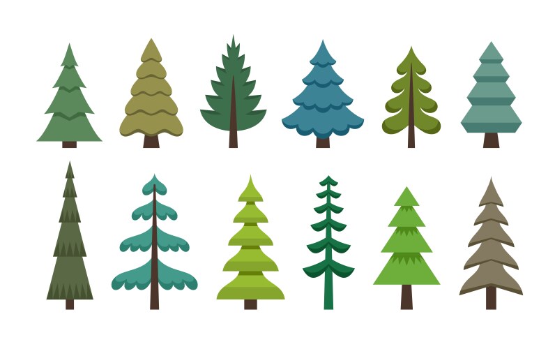 pine and fir trees set in flat style vector image