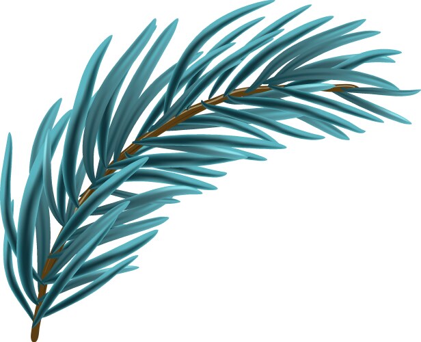 blue christmas fir branch vector image