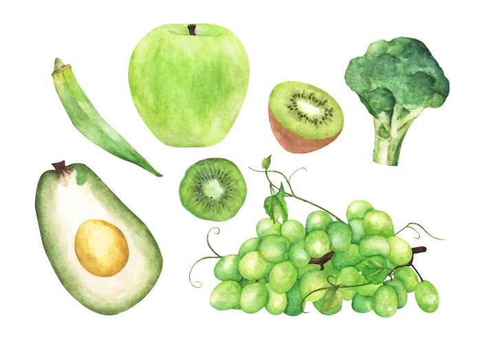 Vegetables and fruit set watercolor vector image