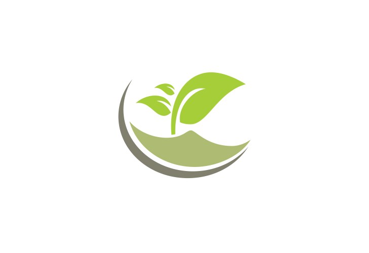 Plant green leaf organic logo vector image