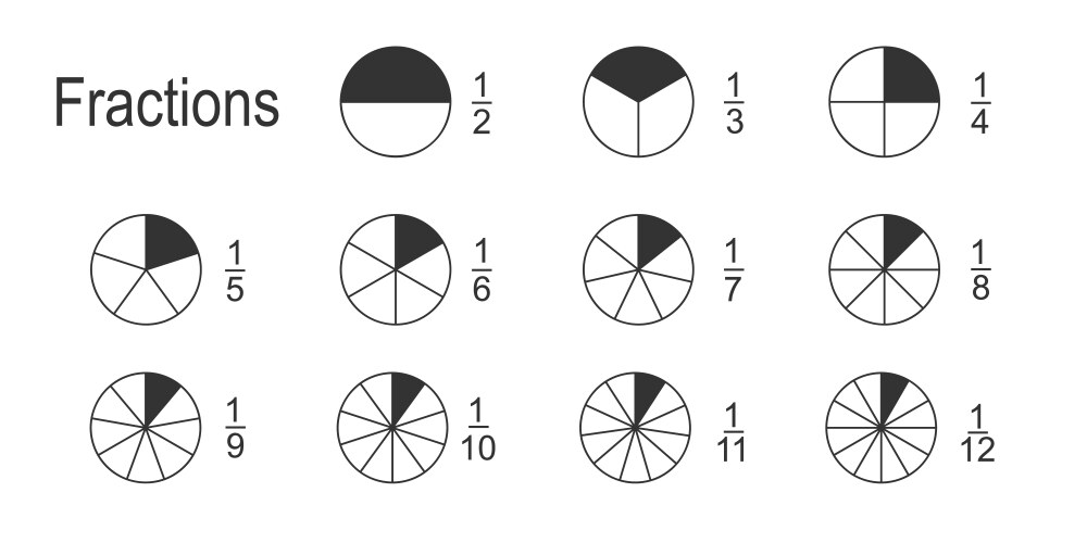 Math fractions infographic circles divided vector image