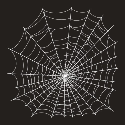 Creepy spider web monochrome element vector image