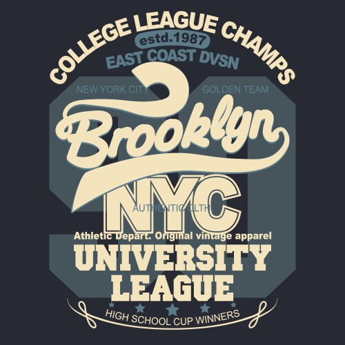 Brooklyn t-shirt graphics new york athletic vector image