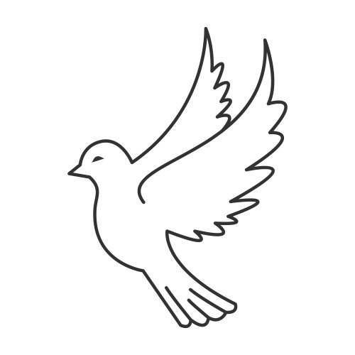 dove bird icon vector image