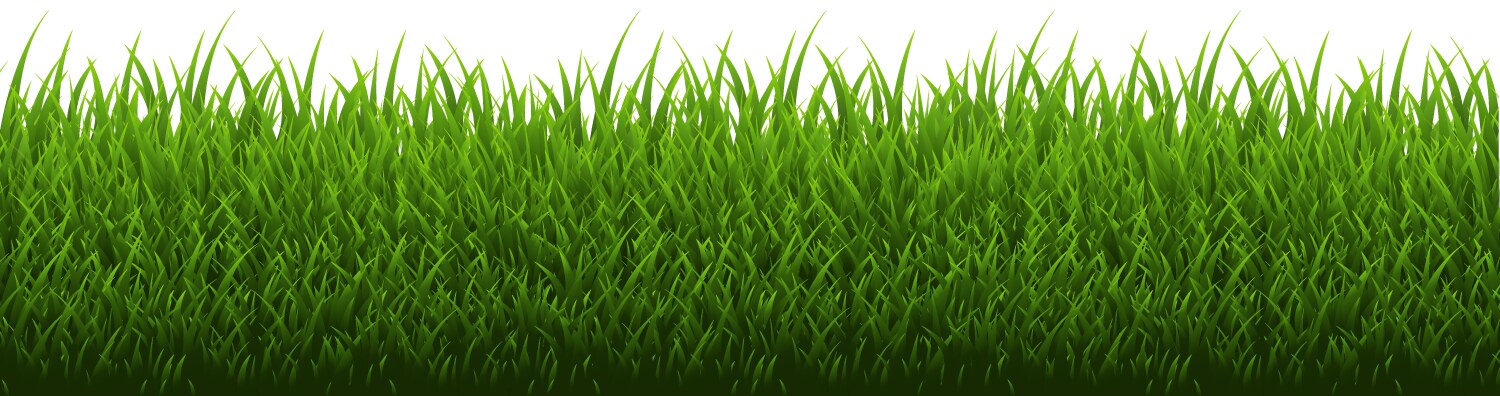 grass border isolated vector image