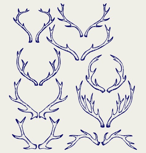 Deer horns vector image