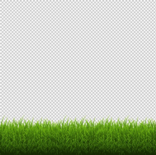 Grass border isolated transparent background vector image