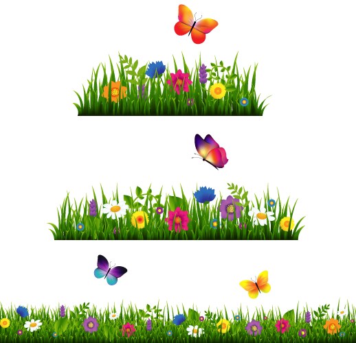 Grass border with flower collection vector image