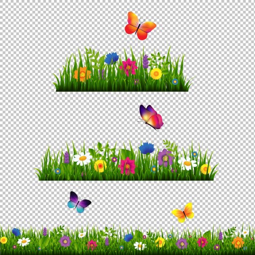 Grass border with flower collection isolated vector image