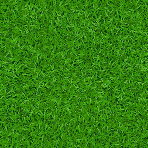 Green grass seamless pattern 1 vector image