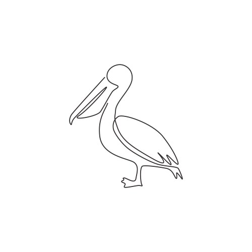 one single line drawing cute pelican vector image