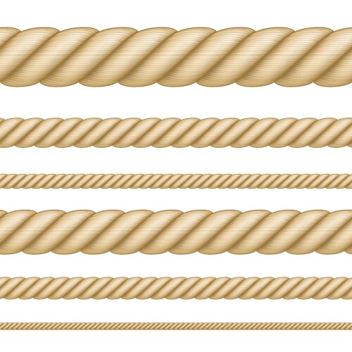 Set of seamless ropes different thickness vector image