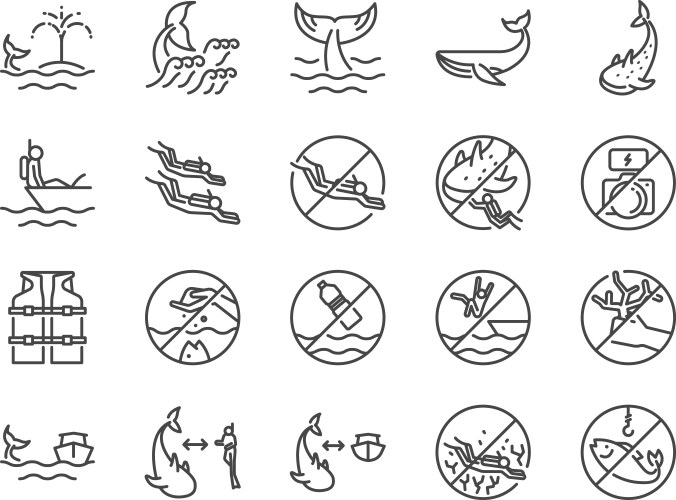 Whale watch icon set vector image